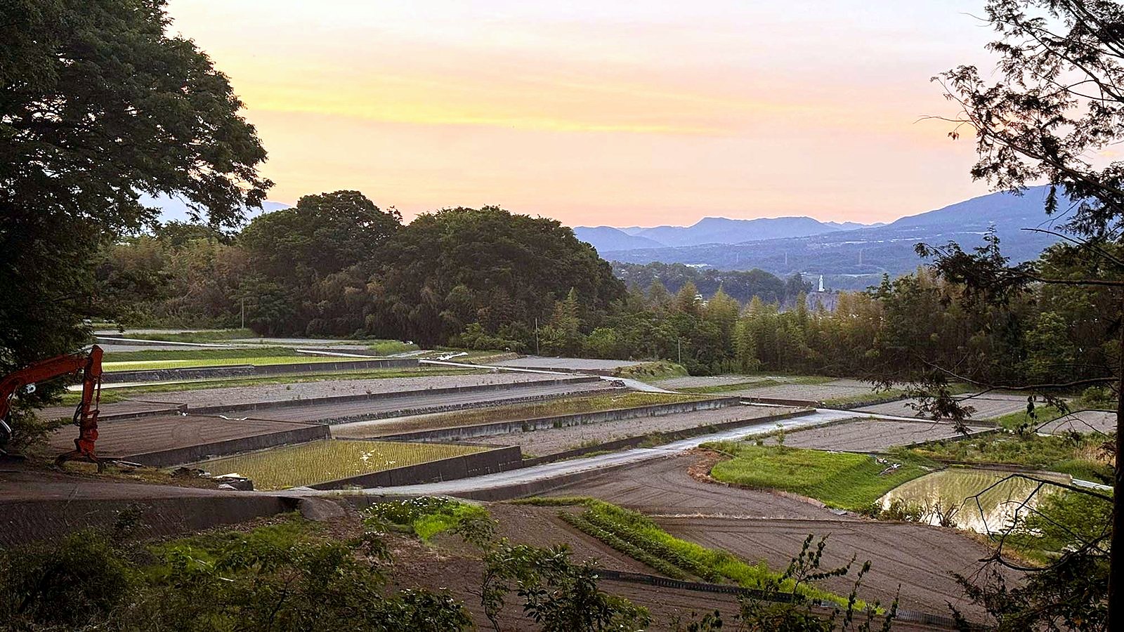 整備を終えた里山の夕景
