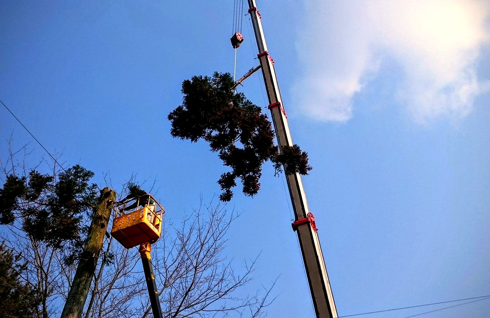 クレーン吊り切り。上から少しずつ下ろす