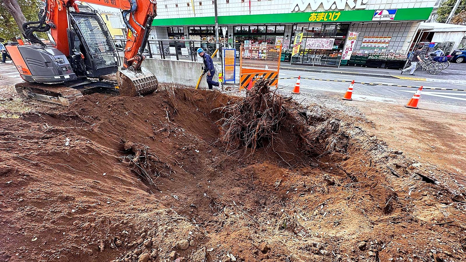 道路沿いの伐根作業